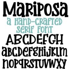 ZP Mariposa Bold
