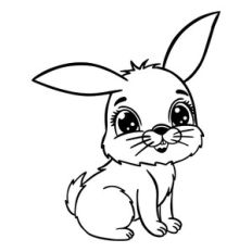 Little bunny