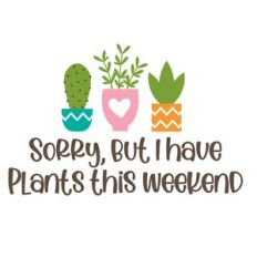 Sorry I have Plants this Weekend - Potted Plants