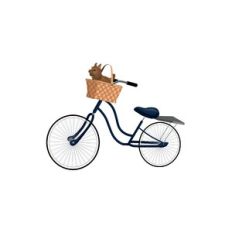 Toto and Bike