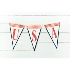 USA Banner