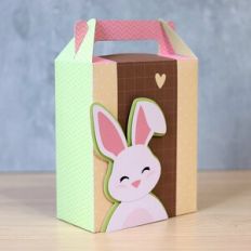 Box with handle