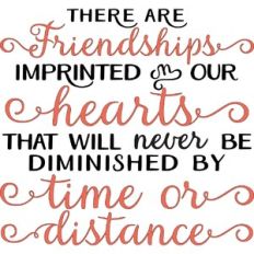 Friendships