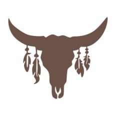 Cow Skull with Feathers