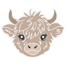 Highland Cow