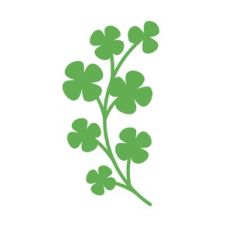 Clover branch