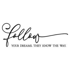 follow your dreams they know the way