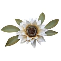 White sunflower with decorative leaves