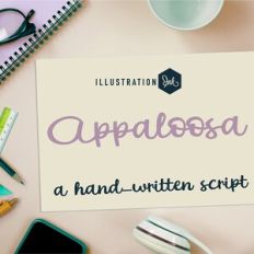 ZP Appaloosa Bold