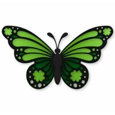 St Patrick butterfly