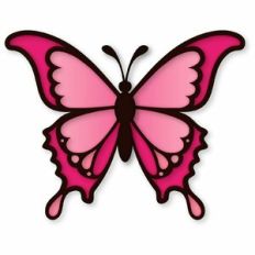 Scalloped butterfly