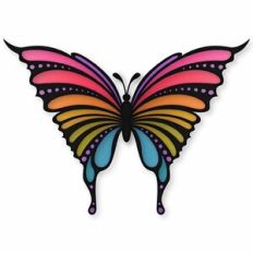 teardrop winged butterfly