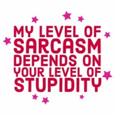 My Level of Sarcasm Depends on your Level of Stupidity Quote