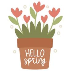 Hello Spring Flower Pot