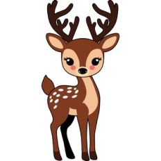 Cute Deer