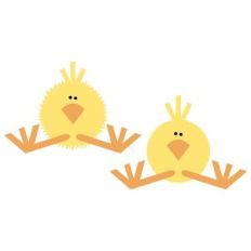 Sitting Chicks