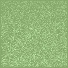 Grassy Pattern