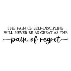 the pain of self discipline will never be as great as the pain of regr