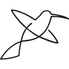 Hummingbird Line drawing