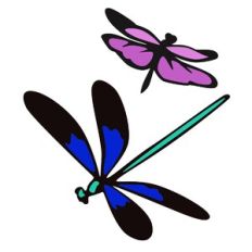 Dragonflies