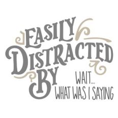 Easily Distracted