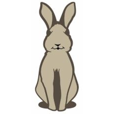 Cottontail Bunny