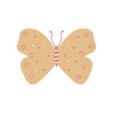 BUTTERFLY