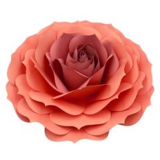 GIANT FLOWER ROSE
