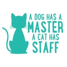 A dog has a master a cat has a staff