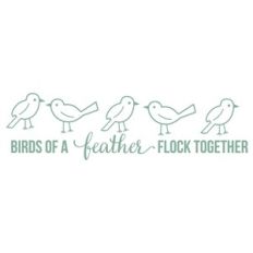 birds of a feather flock together