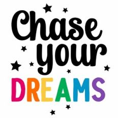 Chase Your Dreams Quote