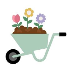 Wheel Barrow With Flowers