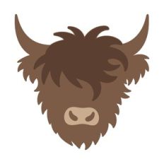 Highland Cow