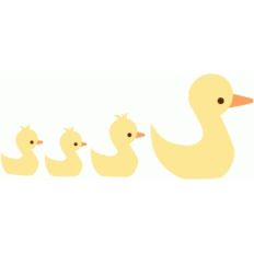 duck family