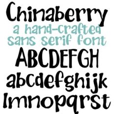 ZP Chinaberry