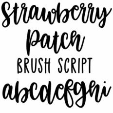 Strawberry patch brush script font