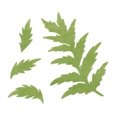 Leaves