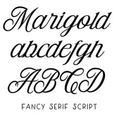 BFC Marigold Script Fancy Modern Serif Classic Script Font