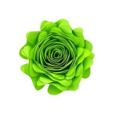 SPIRAL FLOWER 13
