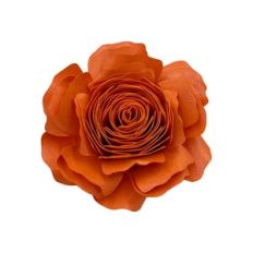 SPIRAL FLOWER 14