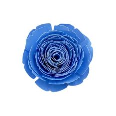 SPIRAL FLOWER 16