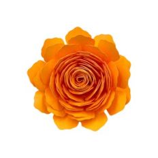 SPIRAL FLOWER 19