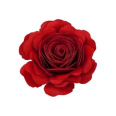 SPIRAL FLOWER 21