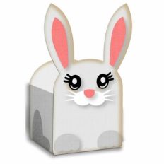rabbit box