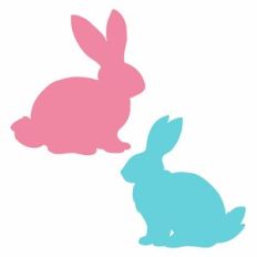 Bunny Silhouettes