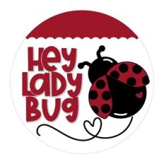 Hey Ladybug