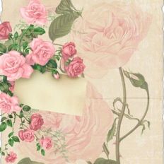 shabby chic background