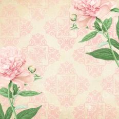 shabby chic vintage background