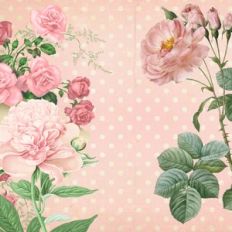 shabby chic polka dot background