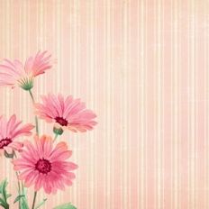 shabby chic Floral background